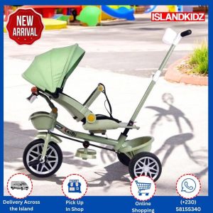 Metal Reversible Tricycle with Handle